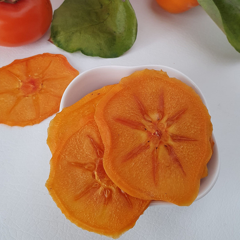 میوه خشک کن آریا سازه مدل 15 گازی