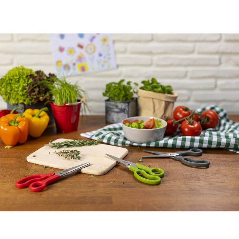 قیچی آشپزخانه کن ریکن مدل Household