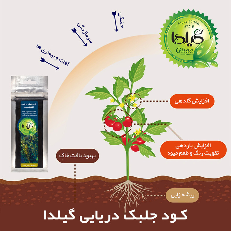 کود جلبک دریایی گیلدا مدل Seaweed وزن 25 گرم