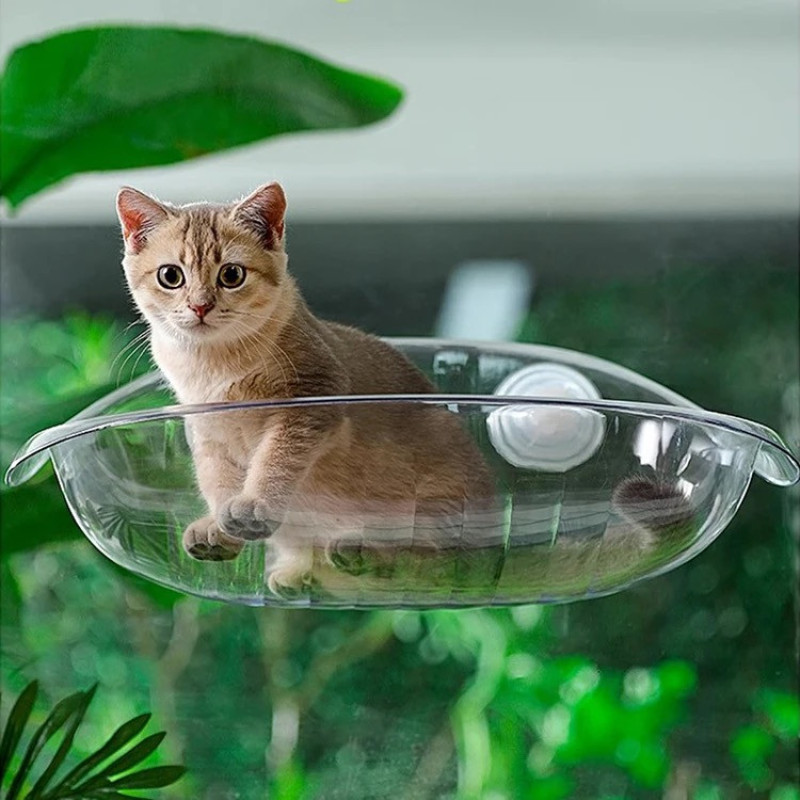 جای خواب گربه مدل پنجره ای