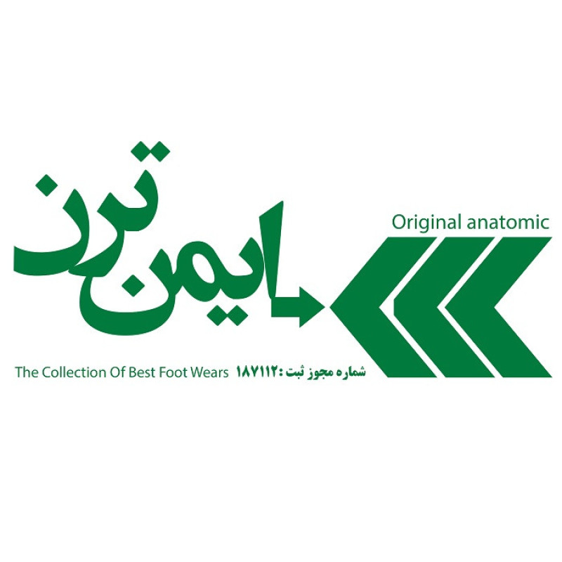 کفش ایمنی ایمن ترن مدل الدر 04 رنگ طوسی