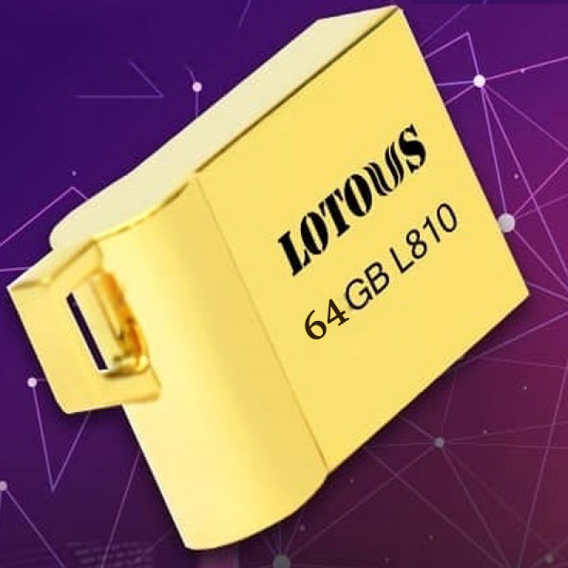 فلش مموری لوتوس مدل L810 ظرفیت 64 گیگابایت