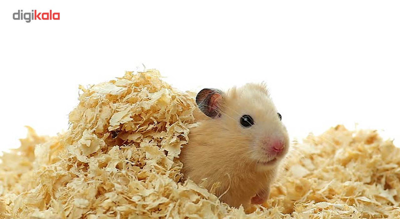 پوشال بستر معطر جوندگان امیلی پتس مدل Apple Flakes وزن 1 کیلوگرم