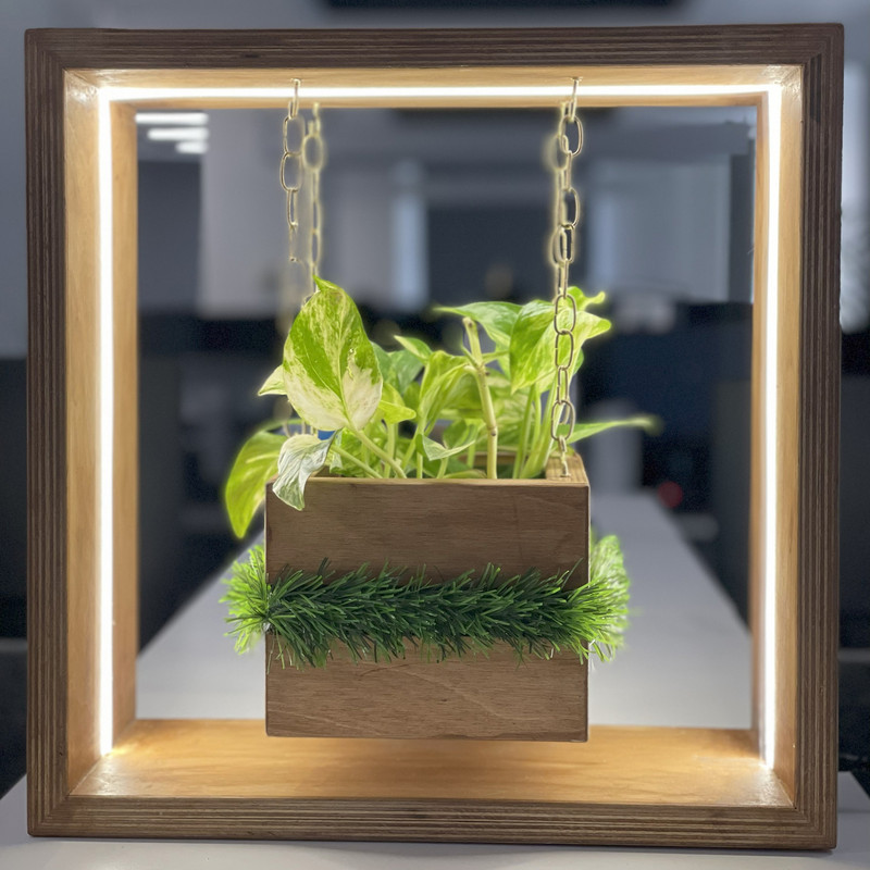 گلدان دکوری چوبی مکعبی چراغ‌دار طرح رویای با نوار LED، نور طبیعی، 10 وات، تغذیه با آداپتور 12 ولت و کلید روشنخاموش، مناسب رومیزی و جای ظرف آب 10×10 سانتی‌متر