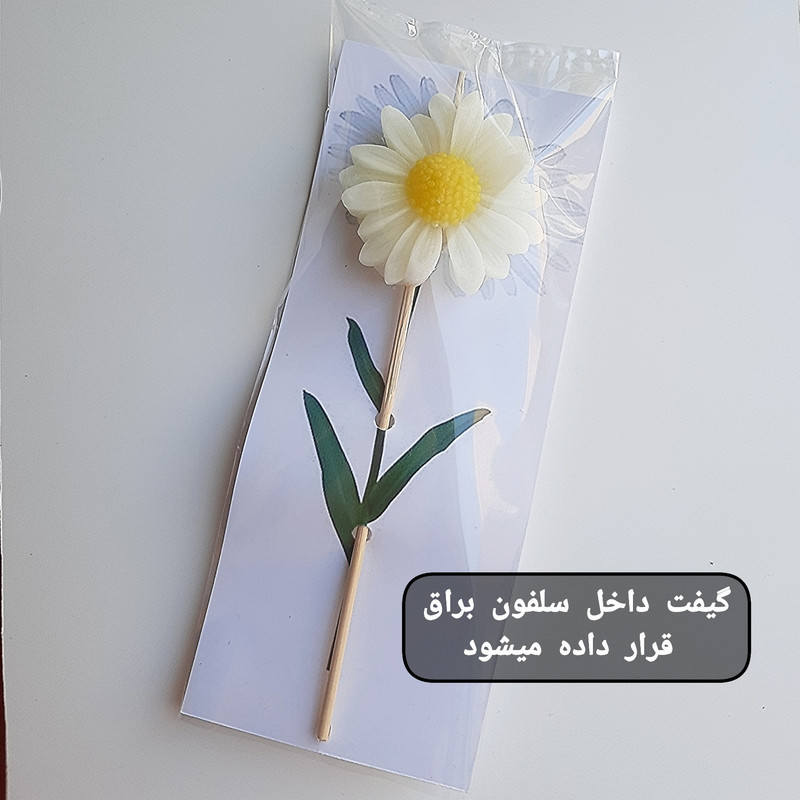 گیفت مدل شمع مارگاریت طرح کارتی بسته ۱۲ عددی