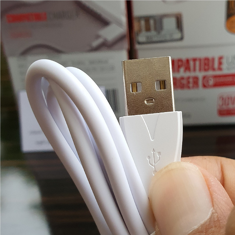 شارژر دیواری الدینیو  مدل A2405Q به همراه کابل تبدیل USB-C