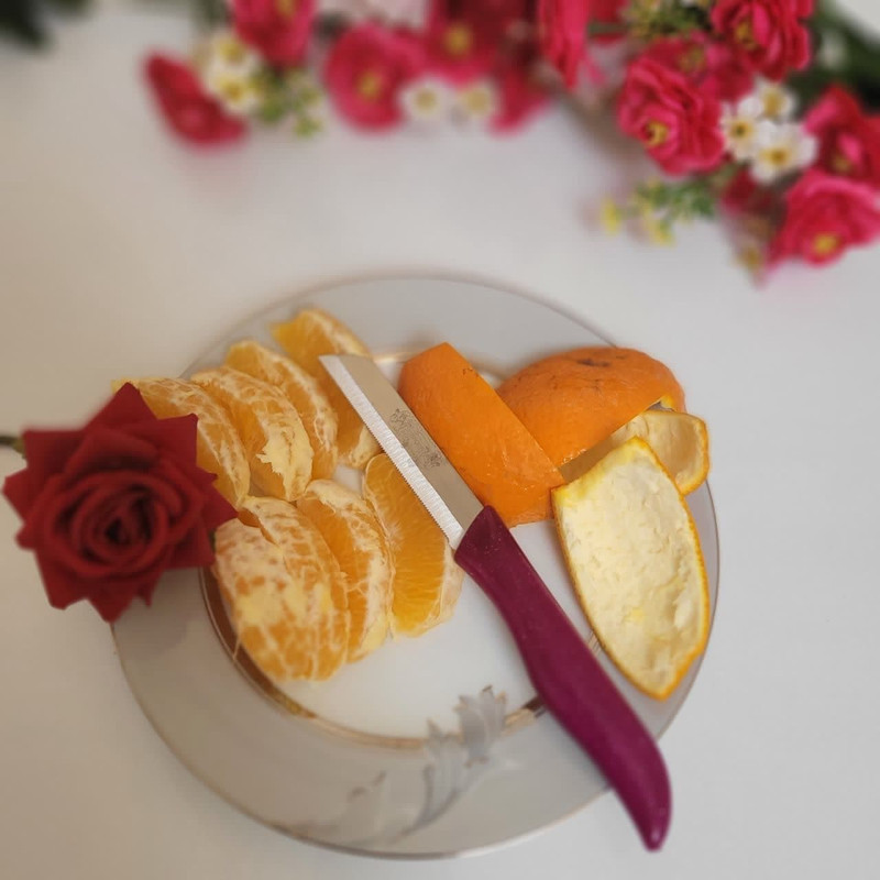 کارد میوه خوری فردینوکس مدل اره ای Perfect 205