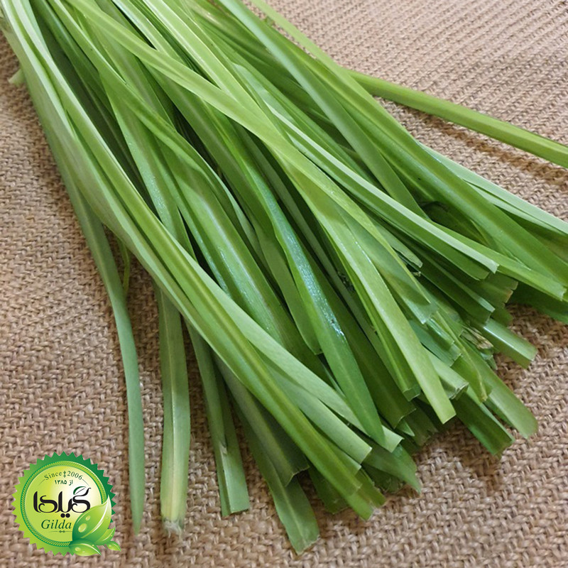 بذر سبزی خوردن گیلدا کد 097 مجموعه 10 عددی