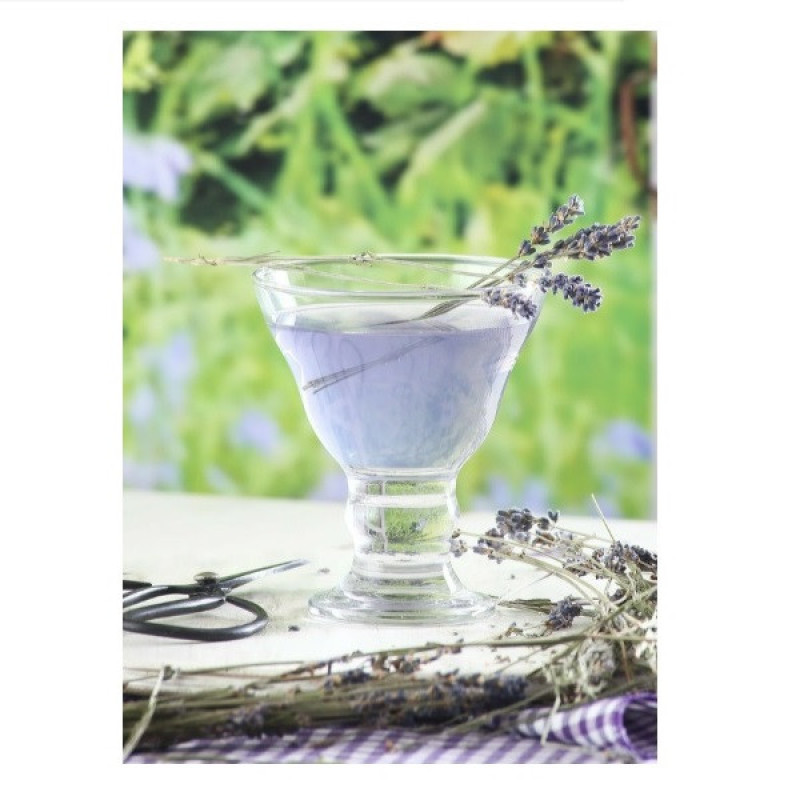 بستنی خوری لاو مدل ORN319F بسته 6 عددی