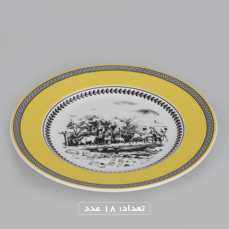 سرویس چینی 102 پارچه غذا خوری چینی زرین ایران سری ایتالیا اف مدل ویلیج درجه یک