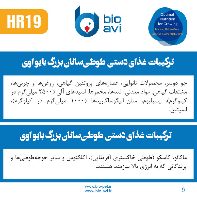 غذای کمکی طوطی سانان بایو اوی مدل HR19 وزن 500 گرم