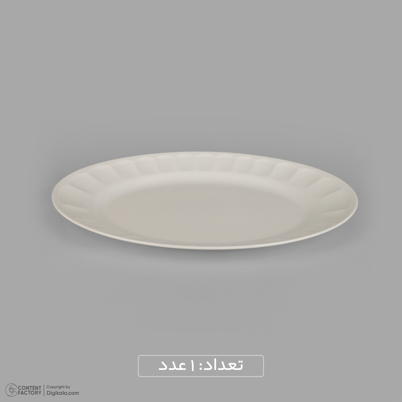 سرویس غذاخوری 29 پارچه 6 نفر چینی زرین ایران مدل نئوکلاسیک سفید درجه 3