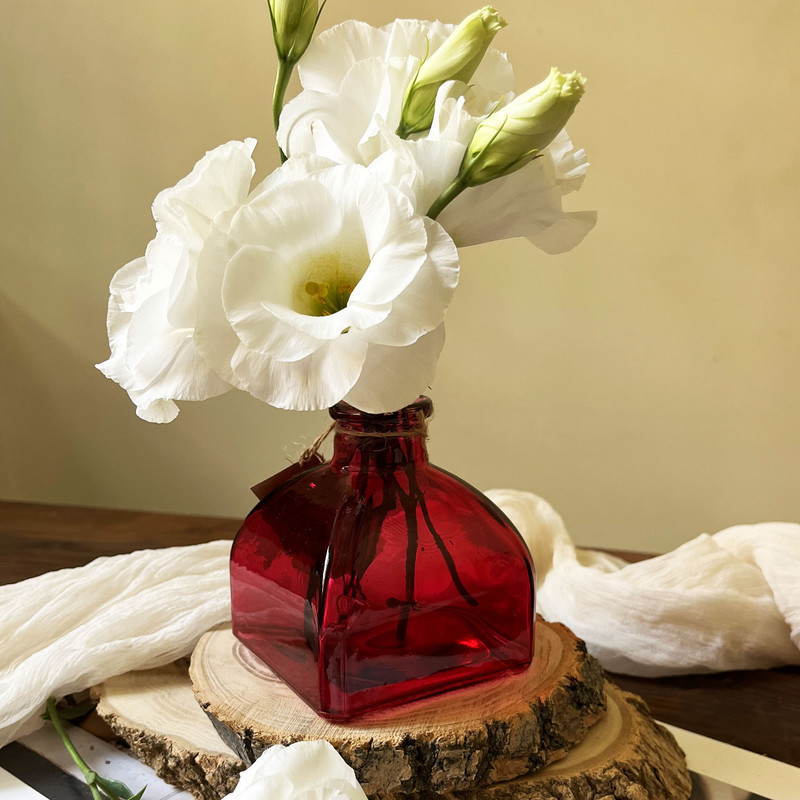 گلدان دکوری شیشه‌ای مدل SD33 مناسب قلمه زدن گیاهان، استفاده برای گل طبیعی، خشک و مصنوعی، ابعاد 9x8x8 سانتی‌متر، قطر دهانه 2 سانتی‌متر، وزن 190 گرم