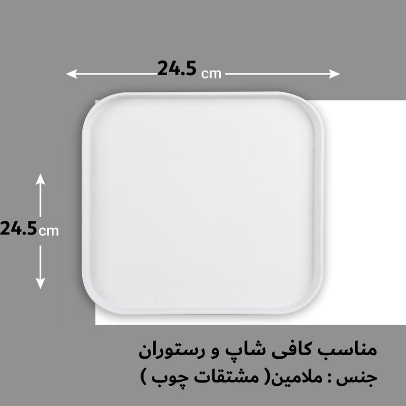 بشقاب  غذا خوری لرد مدل P2525