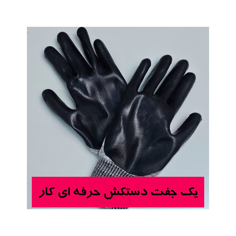 کارواش دینامی 280 بار 3800 وات رویال مکس مدل R1010
