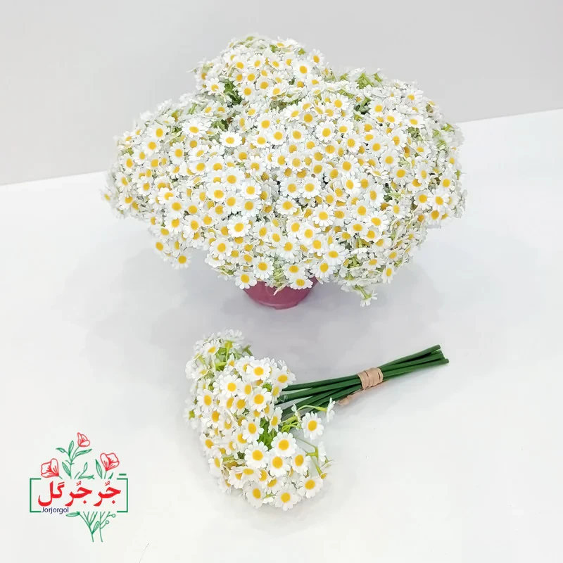 دسته گل مصنوعی بابونه جُرجُرگل مدل 7 شاخه با طراحی طبیعی، الیاف مقاوم در برابر نور و رطوبت، مناسب دکوراسیون رومیزی و فضای باز، ارتفاع 30 سانتی‌متر، قابل استفاده در مراسم و هدیه ماندگار