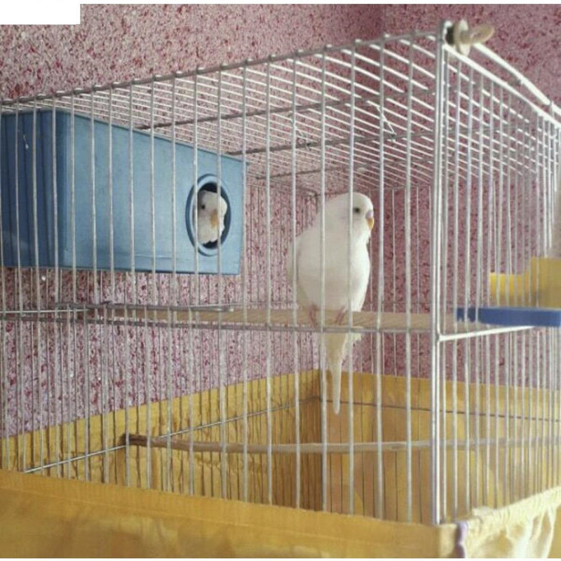 قفس مرغ عشق مدل A40S