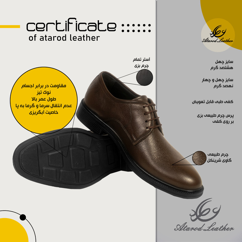 کفش مردانه چرم عطارد مدل چرم طبیعی کد SH135