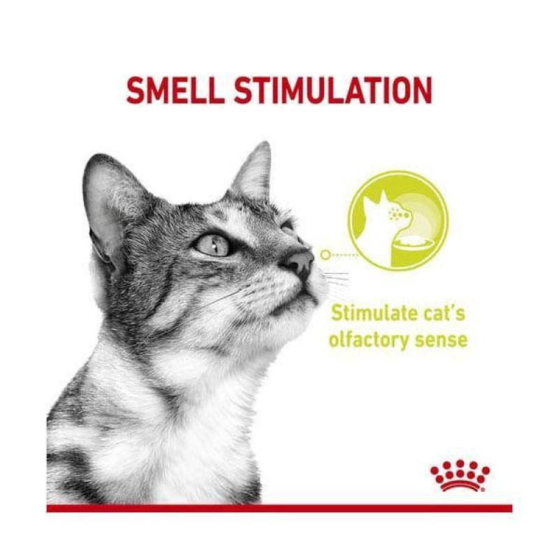 پوچ گربه رویال کنین مدل Sensory Smell مناسب گربه حساس به بو وزن 85 گرم