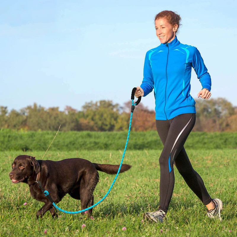 بند قلاده آلوا مدل ZR0343 BL