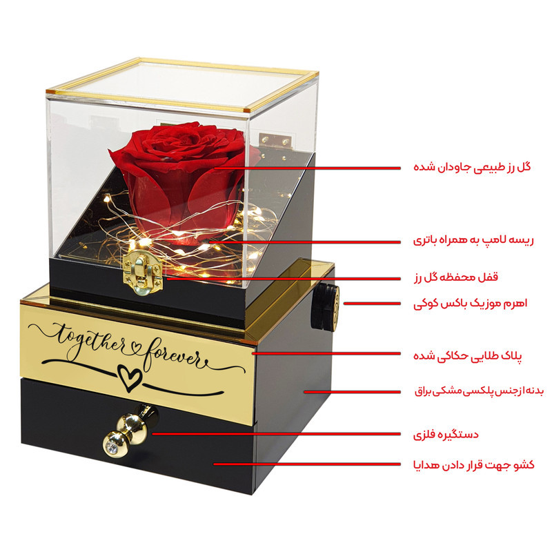 گل رز جاودان مدل گنجینه موزیکال طرح Together Forever کد M01