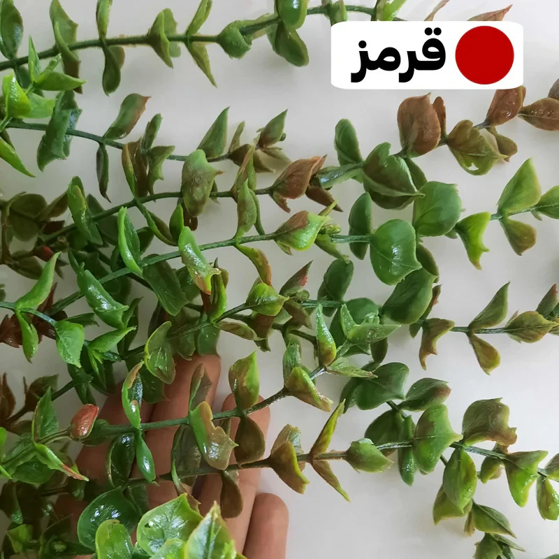 گل مصنوعی آویزی شمشادی ساده ضدآب قابل شستشو مناسب فضای باز و داخلی، ابعاد 20×20×80 سانتی‌متر، وزن 100 گرم، حدود 10 شاخه 60 تا 70 سانتی‌متر