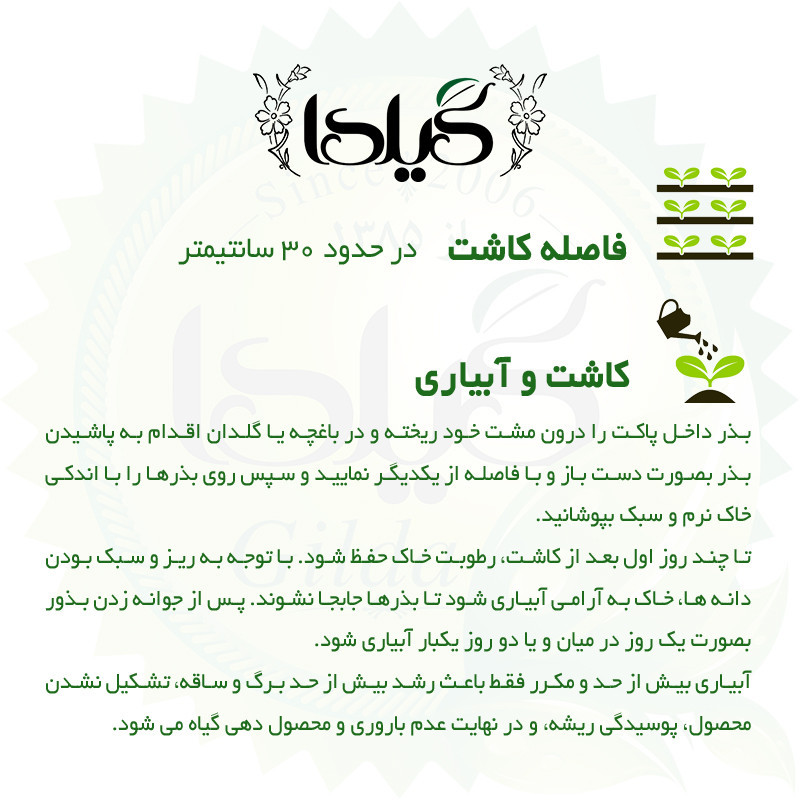 بذر موسیر گیلدا کد 172
