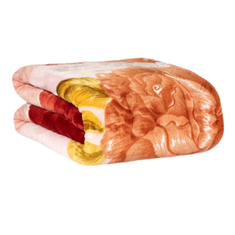 پتو دو نفره گلبافت مدل برتر کد 219 سایز 220x240 سانتی‌متر
