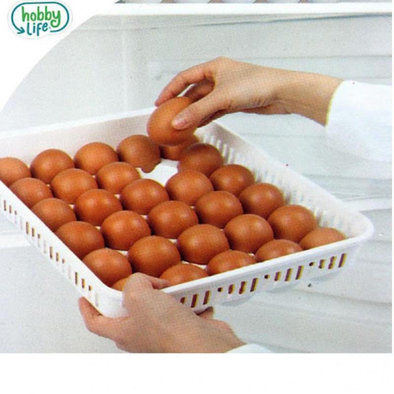 ظرف نگهدارنده تخم مرغ هوبی لایف مدل 1053