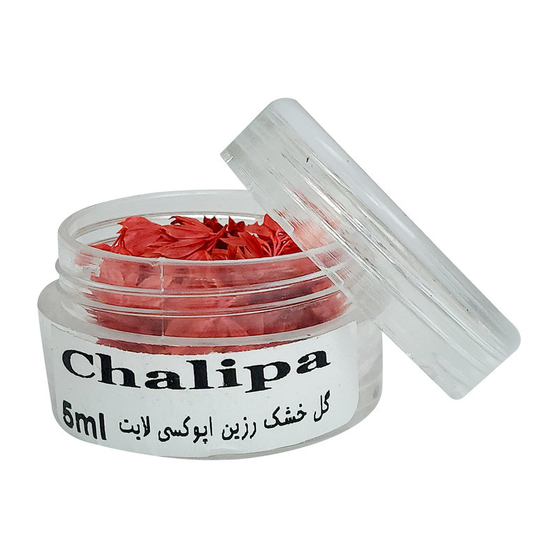 گل خشک لایت چلیپا مدل رزین اپوکسی وزن 5 گرم