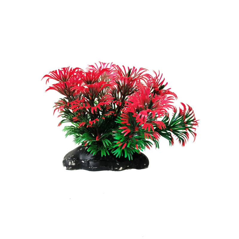 گیاه تزیینی آکواریوم کد VB07 مجموعه 5 عددی
