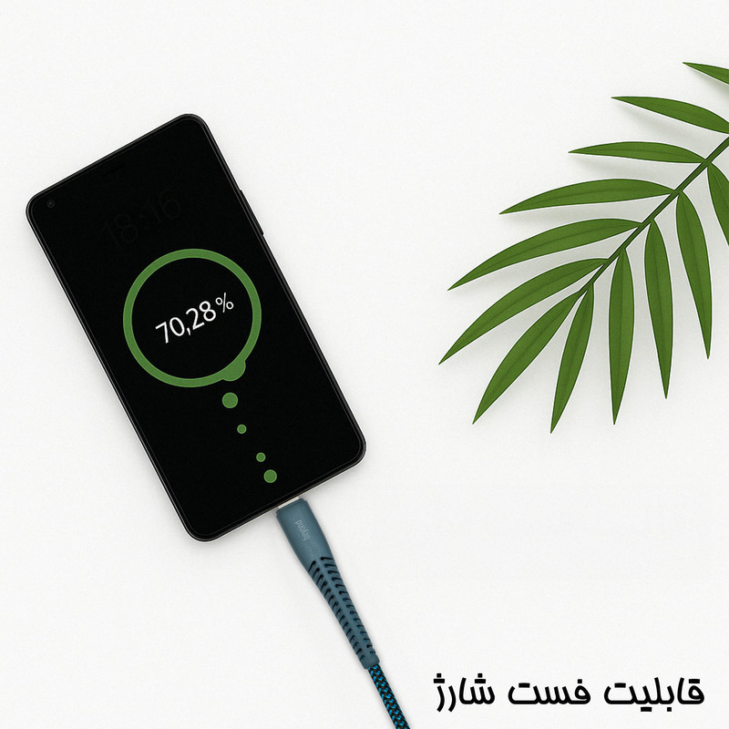 کابل USB-C بیاند مدل BCC-301kf  CHARGE DATA طول 1 متر بسته 10 عددی