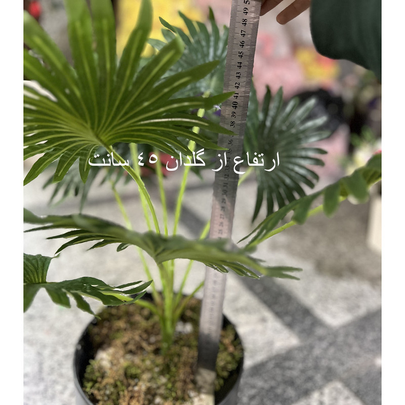 گلدان با گل مصنوعی پچیرا مدل پالم، 9 برگ، مناسب رومیزی، دیوارکوب، آویزی و ایستاده، ابعاد 20×20×50 سانتی‌متر، وزن 200 گرم