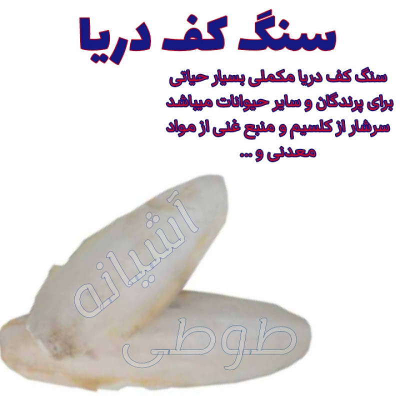 کف دریا شوکا کد P130k وزن 160گرم