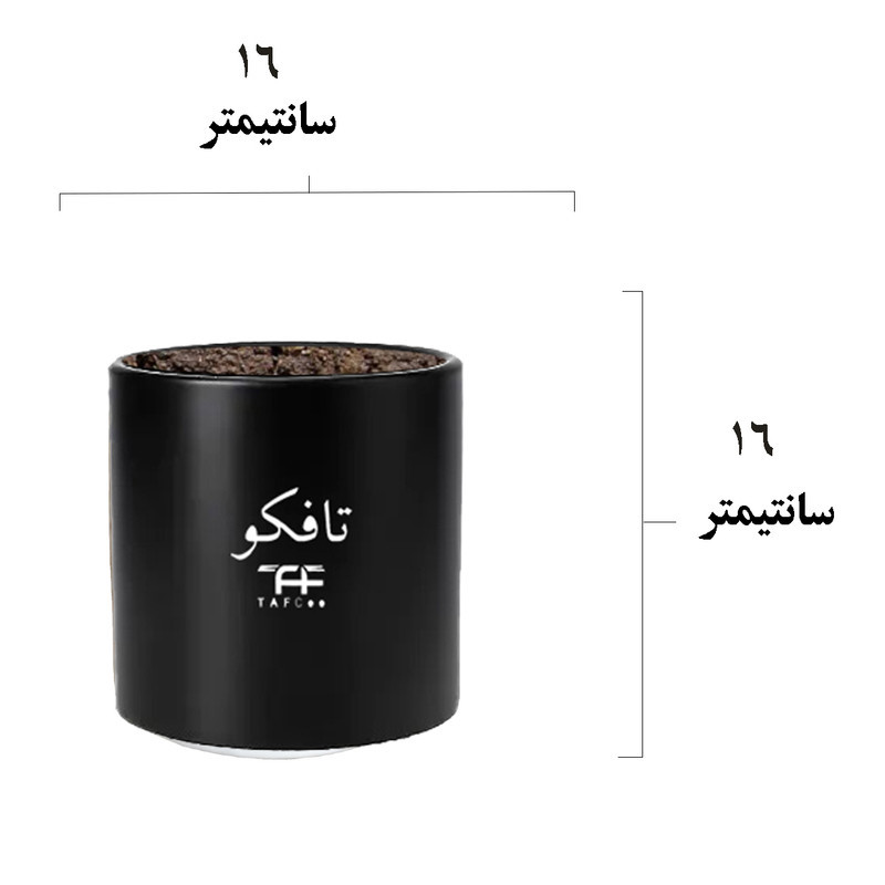 گل طبیعی قاشقی سبز تافکو مدل s1