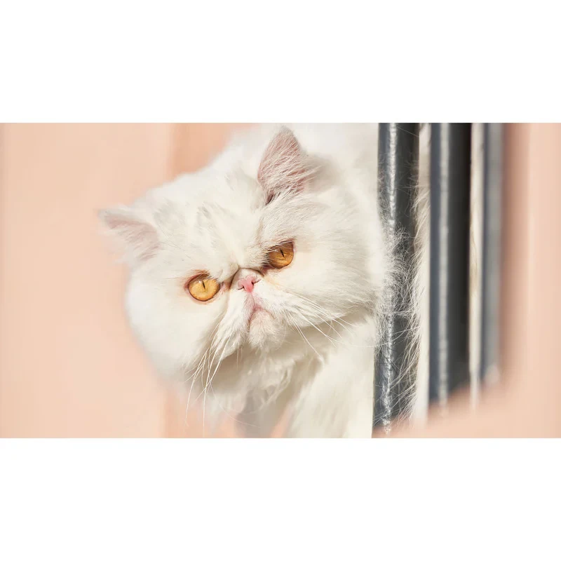 تابلو شاسی طرح گربه مدل T7738