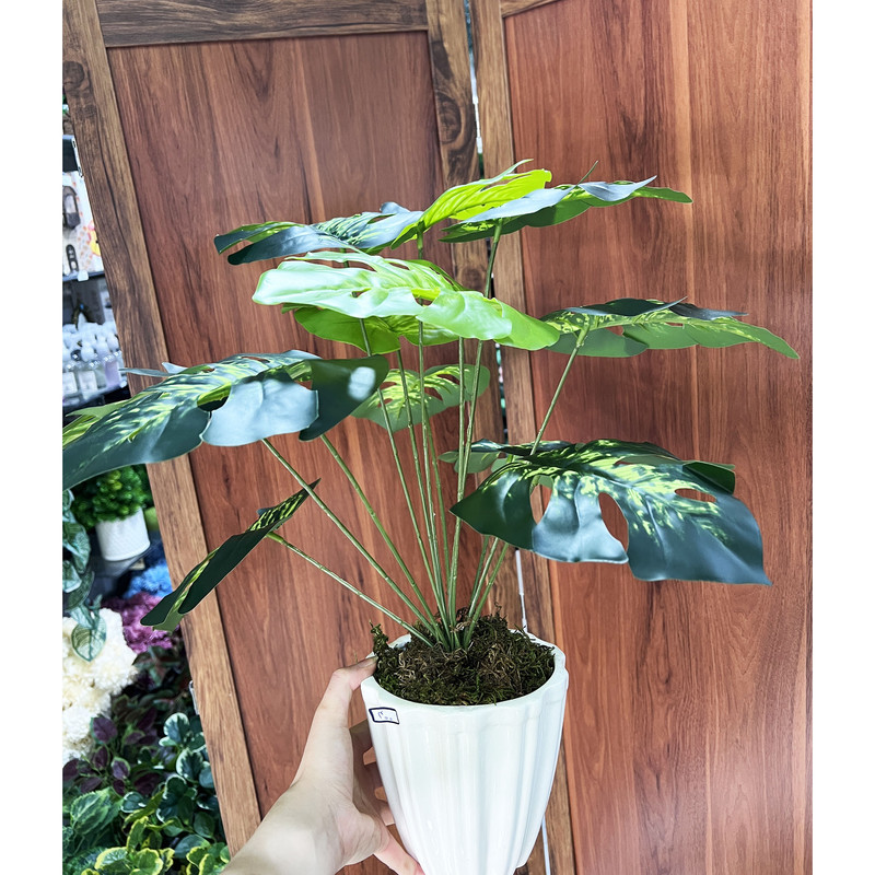 بوته انجیری مصنوعی 12 برگی با ابعاد 20x10x50 سانتی‌متر و وزن 200 گرم