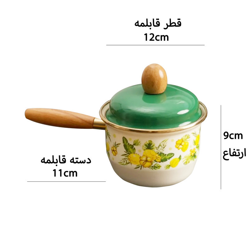 قابلمه میس بتی مدل Citrus سایز 12