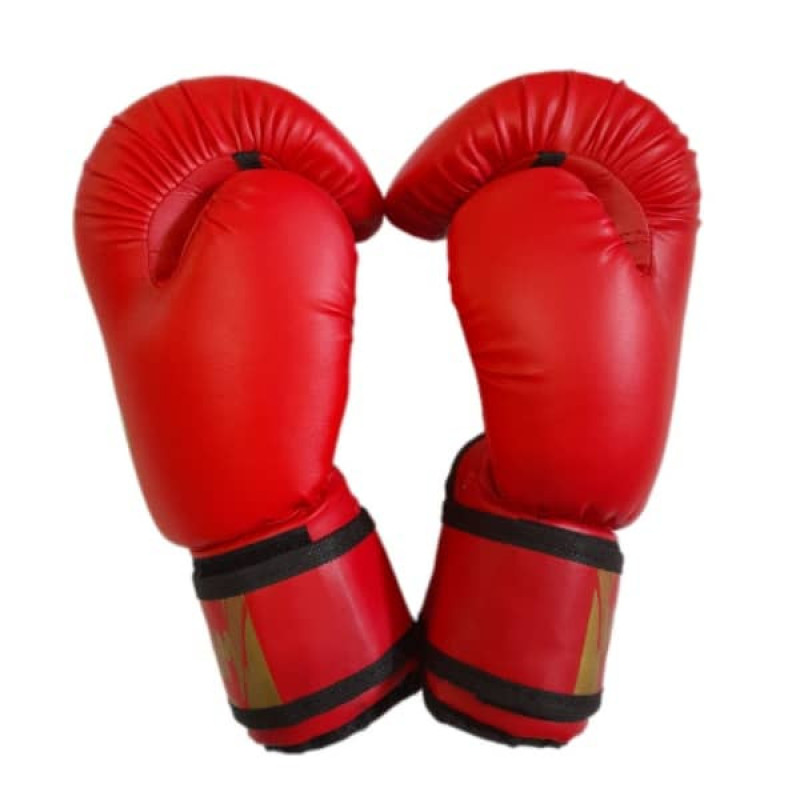 دستکش بوکس مدل   PRO GEAR 2020