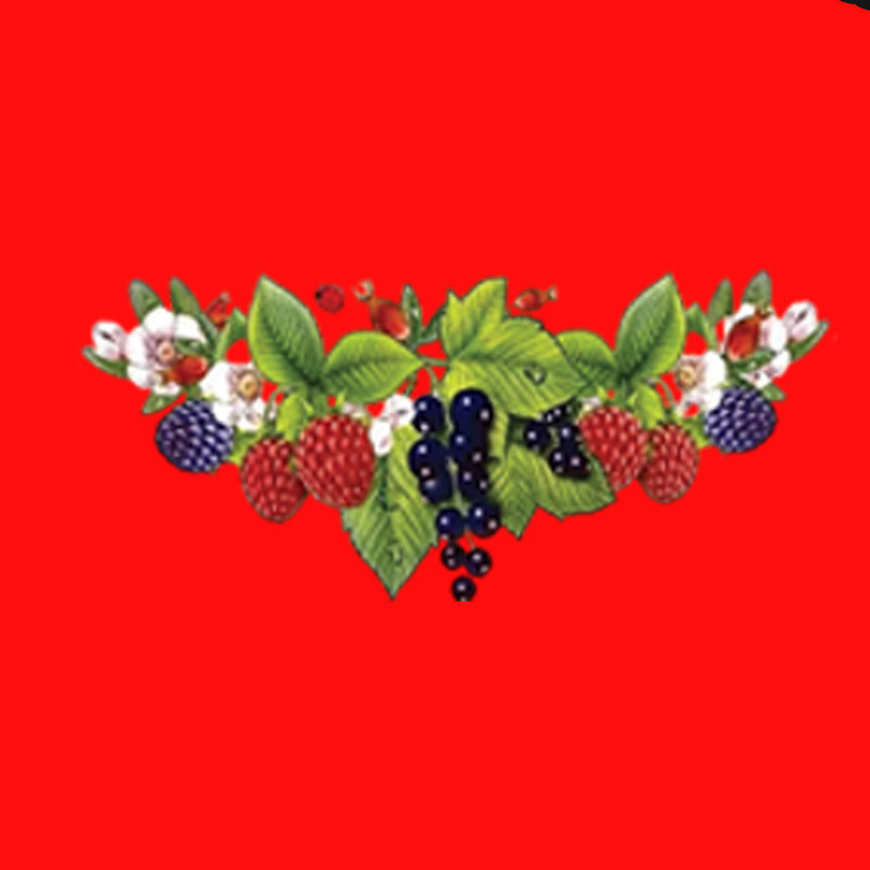 پیش بند آشپزخانه مدل ضدآب grape
