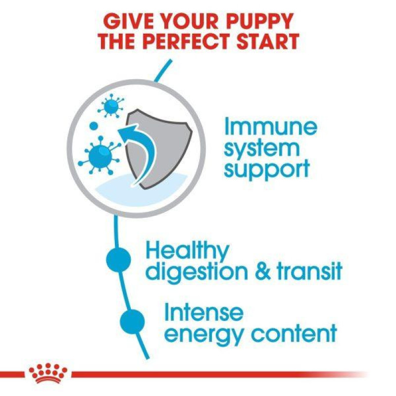 غذا خشک سگ رویال کنین مدل pomeranian وزن 3 کیلوگرم