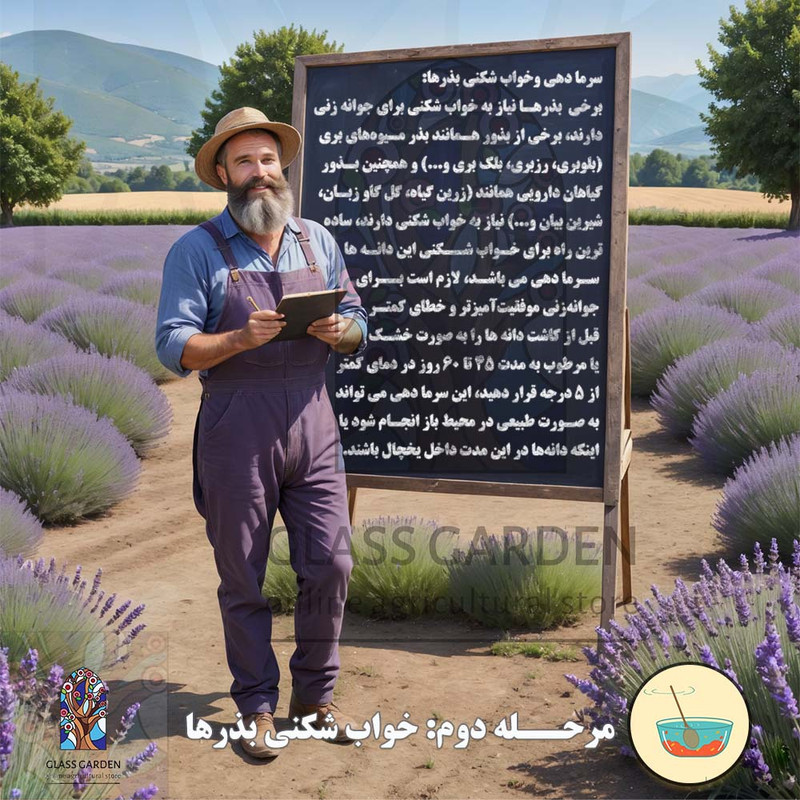 بذر کدو تنبل غول پیکر گلس گاردن مدل GL02
