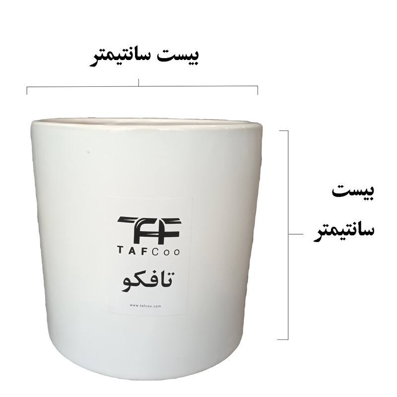 گل طبیعی فیکوس لیراتا آفریقایی تافکو کد 2022