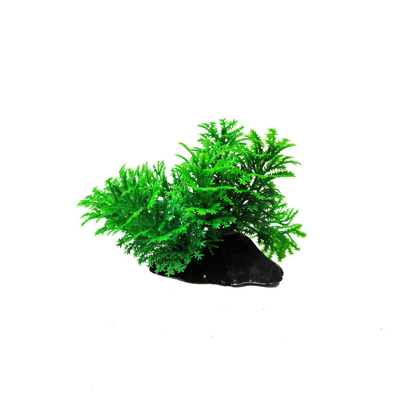 گیاه تزیینی آکواریوم کد VB08 مجموعه 5 عددی