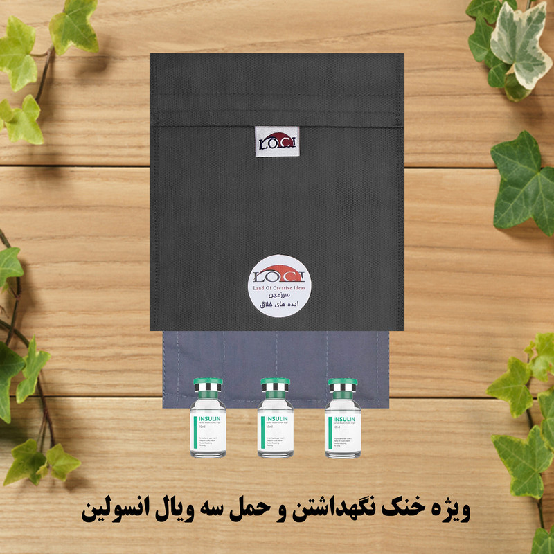 کیف خنک نگهدارنده انسولین لوک آی مدل 3 ویال کد 01 مجموعه 2 عددی