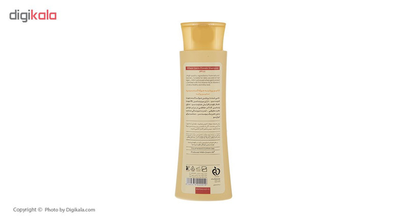 شامپو تقویت‌کننده مو سینره مخصوص انواع مو، حجم 250 میلی‌لیتر مدل Wheat Germ، حاوی ویتامین‌های E و B5 با عصاره پروتئین جوانه گندم