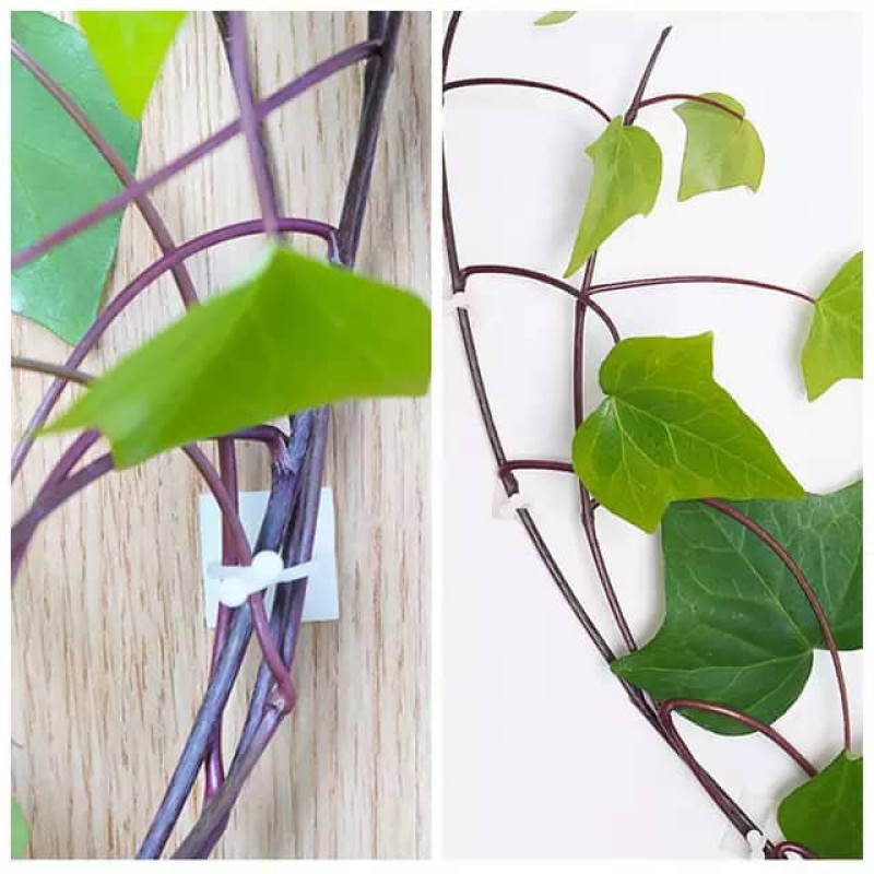 گیره مدل پتوس بسته 30 عددی