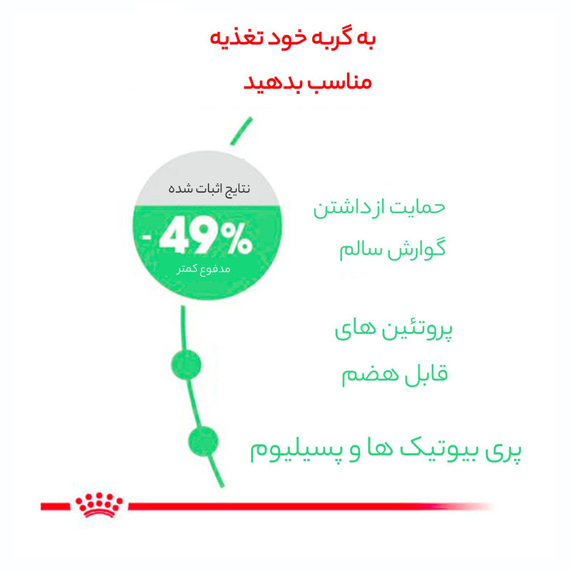 غذای خشک گربه رویال کنین مدل Digestive Care وزن 2 کیلوگرم