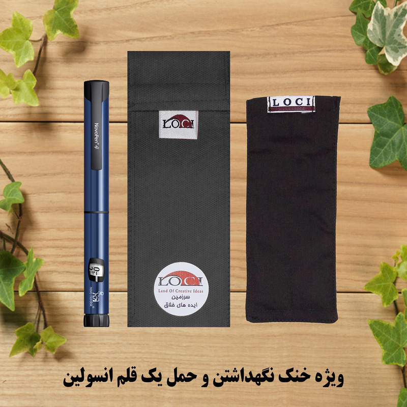 کیف خنک نگهدارنده انسولین لوک آی مدل 1 قلم کد 01 مجموعه 2 عددی