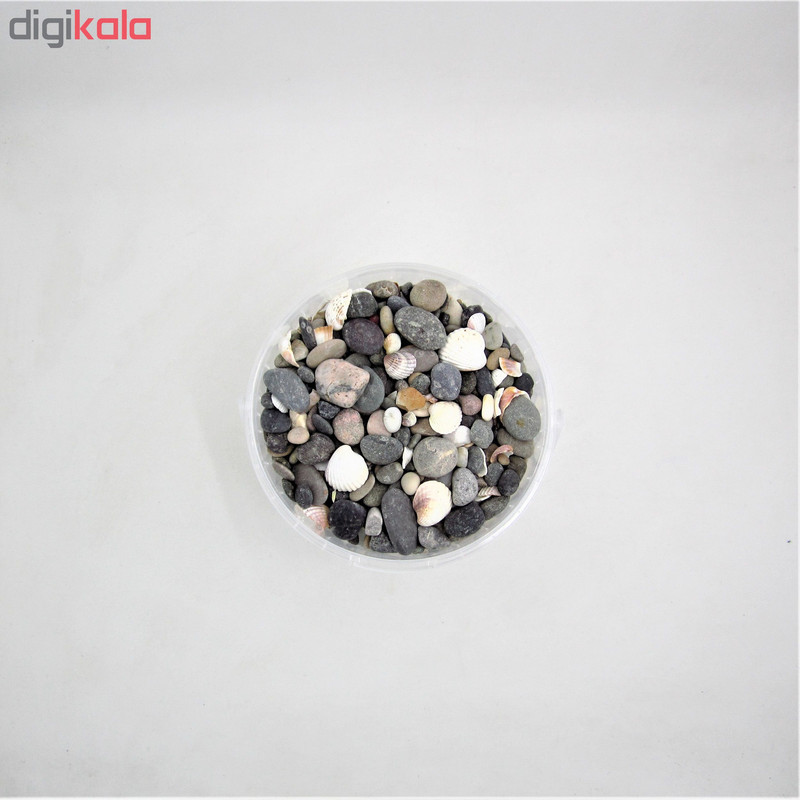 سنگ تزیینی آکواریوم کد 02 وزن 500 گرم